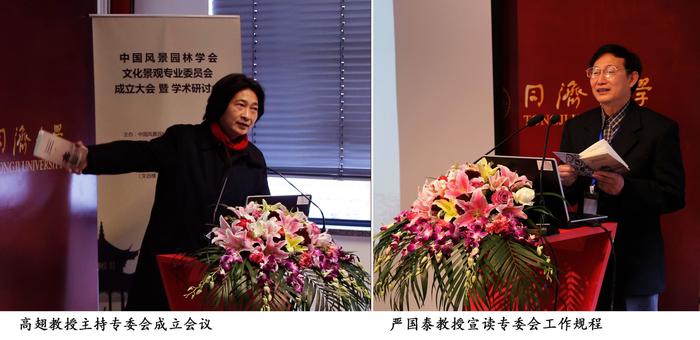 D-高翅-严国泰.jpg